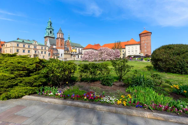 Krakow Poland April 2021 Blooming Magnolia Trees Wawel Hill Next — Stock Photo, Image