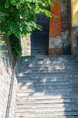 Dominik Kapısı, Polonya 'nın Sandomierz kentindeki binalar arasında dar bir geçit olarak da adlandırılır. Savunma duvarlarında var olan tek kapı bu.