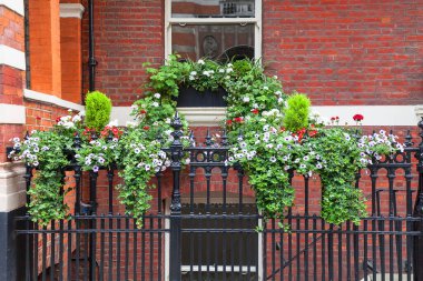 Çiçeklerle süslenmiş pencere, dekoratif yeşillik, tipik Londra sokağı manzarası, Londra, İngiltere.