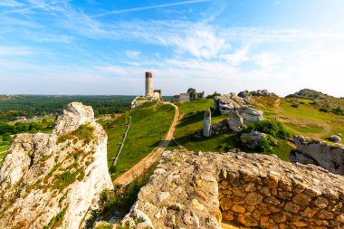 Polonya 'nın Jurassic Highland, Olsztyn, Silezya, Polonya' daki Ortaçağ Gotik Kalesi kalıntıları