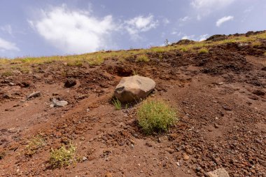 Vezüv Dağı 'nın Mountainside volkanik tuff, İtalya ile kaplıdır. Napoli Körfezi üzerinde, Campania 'da, Napoli' ye yaklaşık 9 km uzaklıkta yer almaktadır.