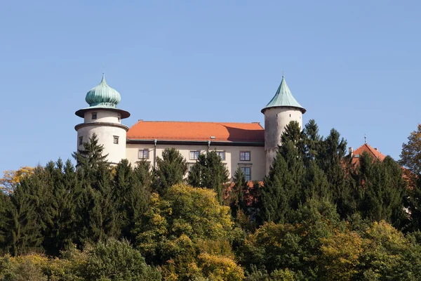 Vista sobre el castillo Nowy Wisnicz en Polonia sobre un fondo de cielo azul —  Fotos de Stock