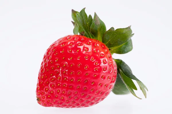 Single fruit of red strawberry isolated on white background — Stock Photo, Image