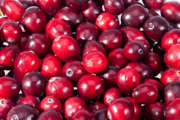 Fond de rouge fraîche fruits de canneberge macro — Photo