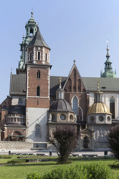 Wawel Cathedral on Wawel Hiill na cidade velha de Cracóvia, na Polônia — Fotografia de Stock