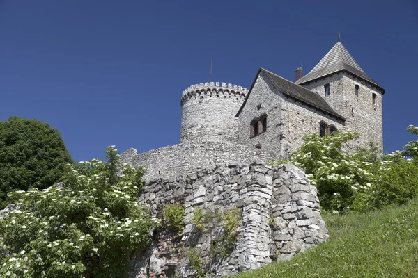 Witham Castle Polonya görüntüleyin — Stok fotoğraf