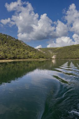 Hırvatistan, Skradin 'den Krka nehri kıyısında, gür ormanlar ve ışıldayan mavi sularla çevrili Skradinski Buk şelalesiyle Krka Ulusal Parkı' na uzanan huzurlu bir nehir.