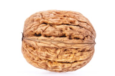 Beyaz arka plan üzerinde izole tek ceviz