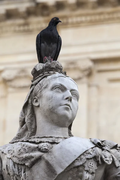 Skulptur der Königin Viktoria mit Taube in der Hauptstadt von Malta- Valletta — Stockfoto