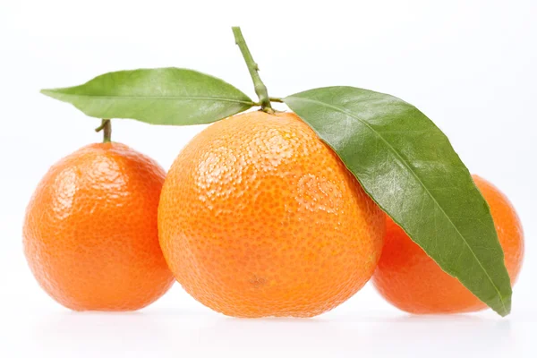 Sommige vruchten van clementine geïsoleerd op witte achtergrond Stockfoto
