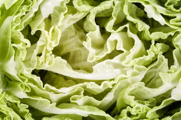 Фон зеленой середины срезанной капусты напа, крупным планом — стоковое фото