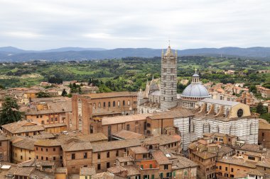 Katedrali, Siena, Toskana İtalya Üstten Görünüm