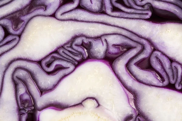 Hintergrund von geschnittenem Rotkohl, Abstraktion — Stockfoto