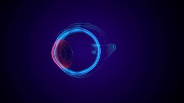 Göz kısmı anatomi. 3d illüstrasyon