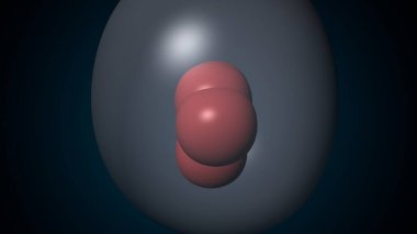 Alvioli baloncukları anatomi yapar. 3d hazırlayıcı