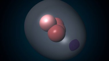 Alvioli baloncukları anatomi yapar. 3d hazırlayıcı