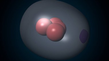 Alvioli baloncukları anatomi yapar. 3d hazırlayıcı