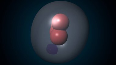 Alvioli baloncukları anatomi yapar. 3d hazırlayıcı