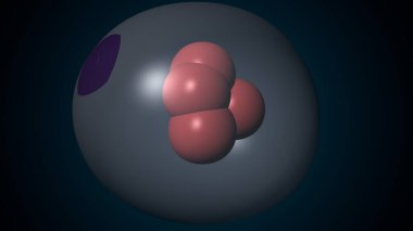 Alvioli baloncukları anatomi yapar. 3d hazırlayıcı