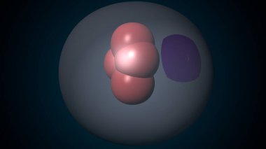 Alvioli baloncukları anatomi yapar. 3d hazırlayıcı