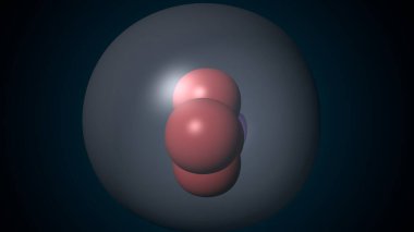 Alvioli baloncukları anatomi yapar. 3d hazırlayıcı