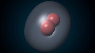 Alvioli baloncukları anatomi yapar. 3d hazırlayıcı