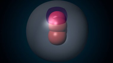 Alvioli baloncukları anatomi yapar. 3d hazırlayıcı