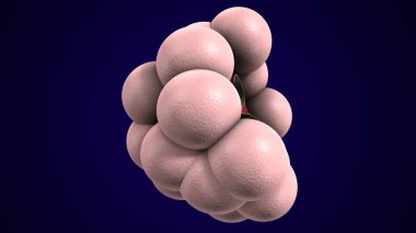 Alvioli baloncukları anatomi yapar. 3d hazırlayıcı