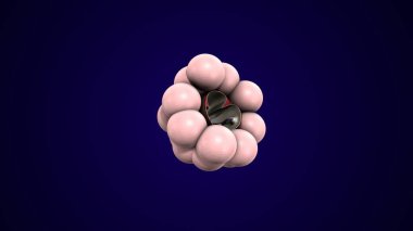 Alvioli baloncukları anatomi yapar. 3d hazırlayıcı