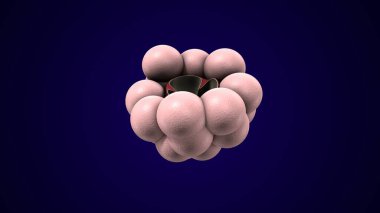 Alvioli baloncukları anatomi yapar. 3d hazırlayıcı