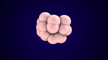 Alvioli baloncukları anatomi yapar. 3d hazırlayıcı