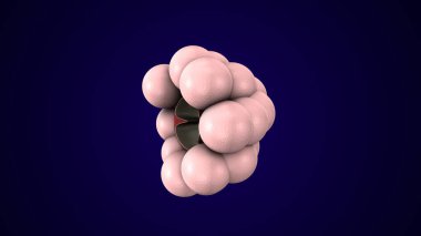 Alvioli baloncukları anatomi yapar. 3d hazırlayıcı