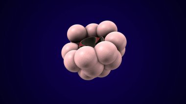 Alvioli baloncukları anatomi yapar. 3d hazırlayıcı