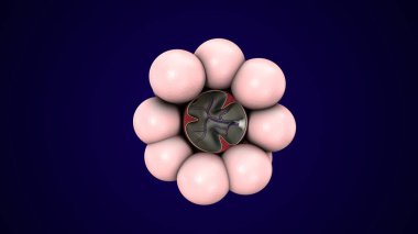 Alvioli baloncukları anatomi yapar. 3d hazırlayıcı