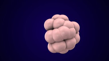 Alvioli baloncukları anatomi yapar. 3d hazırlayıcı