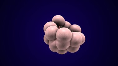 Alvioli baloncukları anatomi yapar. 3d hazırlayıcı