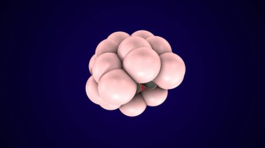 Alvioli baloncukları anatomi yapar. 3d hazırlayıcı