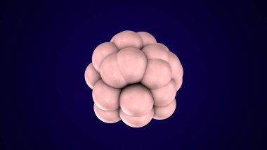 Alvioli baloncukları anatomi yapar. 3d hazırlayıcı