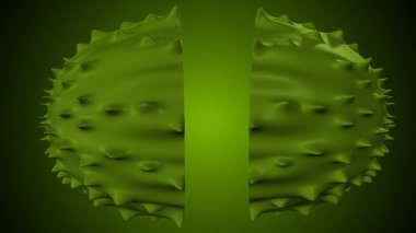 Limon, portakal, hindistan cevizi tohumu anatomisi. 3d illüstrasyon