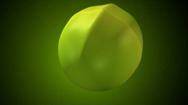 Limon, portakal, hindistan cevizi tohumu anatomisi. 3d illüstrasyon