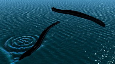 Anguilla Balığı su anatomisinde. 3d hazırlayıcı