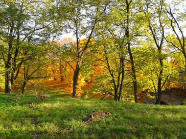 güzel sonbahar park