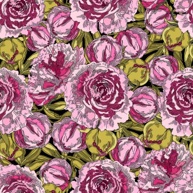 Bir buket pembe şakayık. Elle çizilmiş çiçek dekoru koleksiyonu. Beyaz arkaplanda vektör illüstrasyonu.