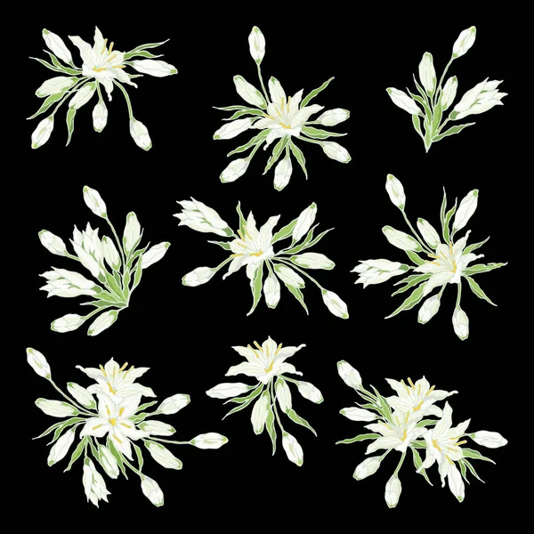 Lily Oriental Branca Conjunto Buquês Flores Coleção Desenhada Mão Decoração — Vetor de Stock