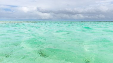 Tobago turistik cazibe sığ derinliği mercan ve beyaz kum panoramik kapsayan berrak Denizi su havuzunda naylon