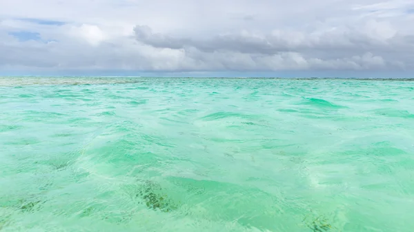 尼龙池在多巴哥旅游吸引力浅景深清澈的海水水覆盖珊瑚和白砂全景视图 — 图库照片