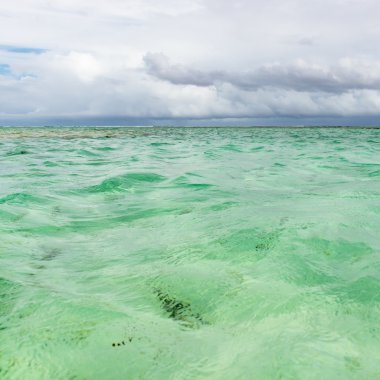 Tobago turistik cazibe sığ derinliği mercan ve beyaz kum panoramik kare kapsayan berrak Denizi su havuzunda naylon