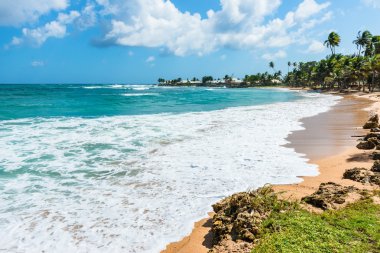 Boş tropikal plaj Tobago Karayipler 