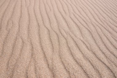 Kum dalga doku arka plan