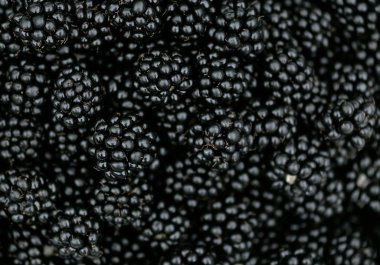 BlackBerry bramble berry arka plan doku sulu yaz meyve